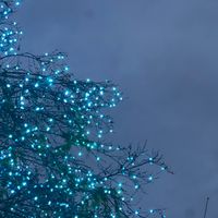 Christmas Favorites by Karl Moffitt
