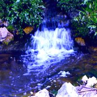 Deception Creek & the Truth It Carries by Bear's Creations