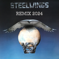 STEELWINGS Remix 2024 by STEELWINGS