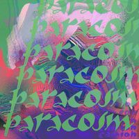 Paracosm by CAMI/OH