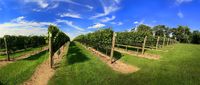 STONE TOWER WINERY