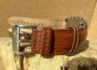 Festina Brown Watch Limited Edition