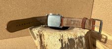 Festina Brown Watch Limited Edition