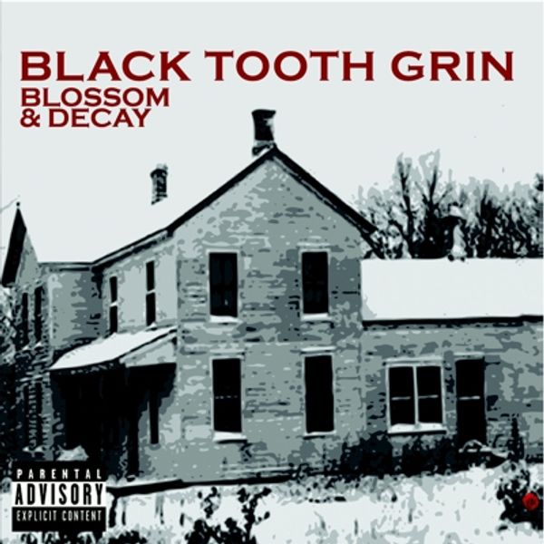 Blossom & Decay - CD