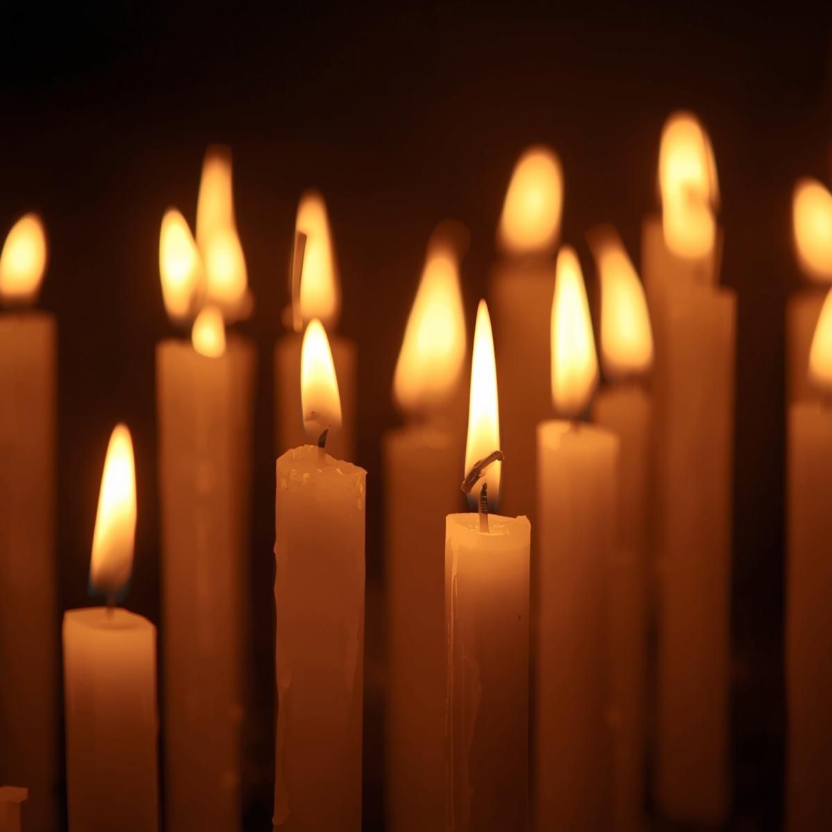 Ancestral Guidance Reading — Roots of Light