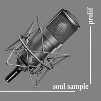 Soul Sample by Prolif Kochise