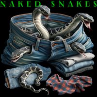 Naked Snakes by Naked Snakes