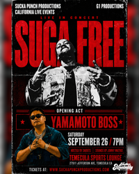 Sugafree Concert in Temecula, CA