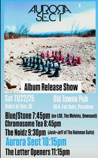 The NOiDZ w/ Aurora Sect, Chromosome Tea, The Letter Openers, Blue/Stone