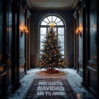 Navidad Sin Tu Amor  by Fina Lealtad