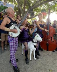 Hillbilly Goats at Savannah in the Round