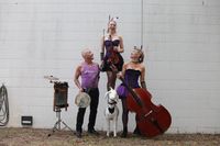 The Hillbilly Goats at The New Royal Hotel Rubyvale