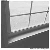 What Lies Behind a Window by Premise