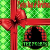 Twelve Days of Christmas by The Foleys