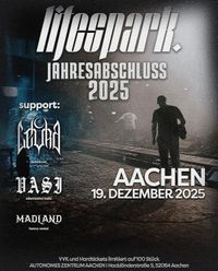 Lifespark Jahresabschluss 2025