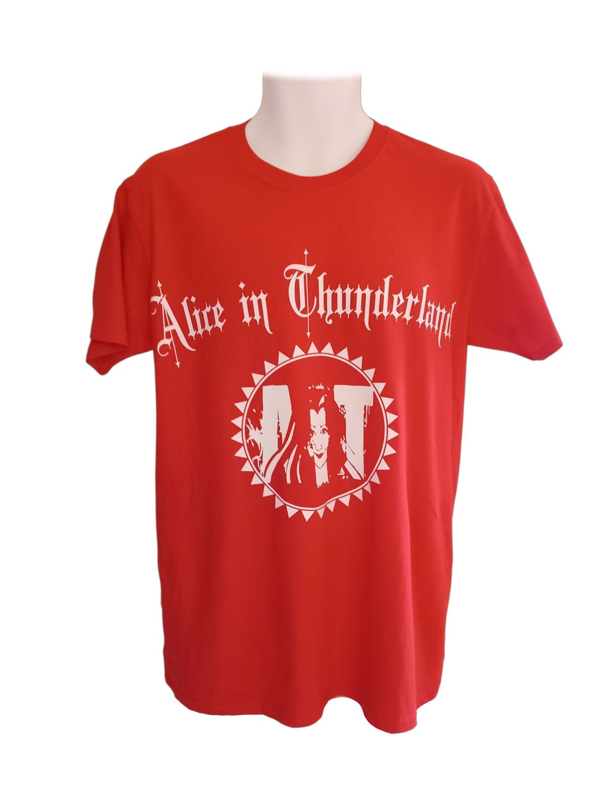 AIT t-shirt with text and large logo - round neck - 2 colour options