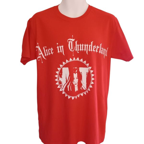 AIT t-shirt with text and large logo - round neck - 2 colour options