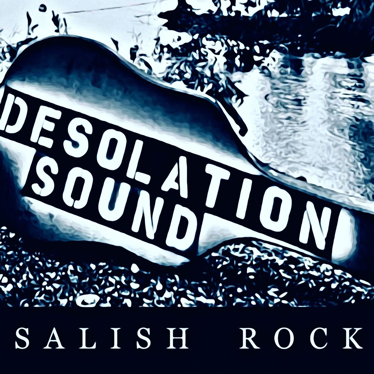 Salish Rock - CD