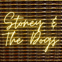 Functioning (EP) by Stoney And The Dogs