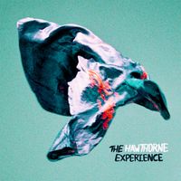 Blueberry Jam / Hook Demo (Unreleased) by The Hawthorne Experience
