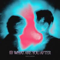 What Are You After - Radio Version by FAT CAT