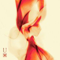 ALBUM - U by FAT CAT