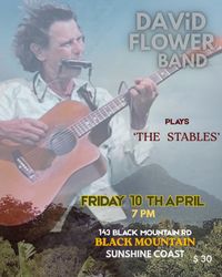 David Flower Live At "the Stables"  
