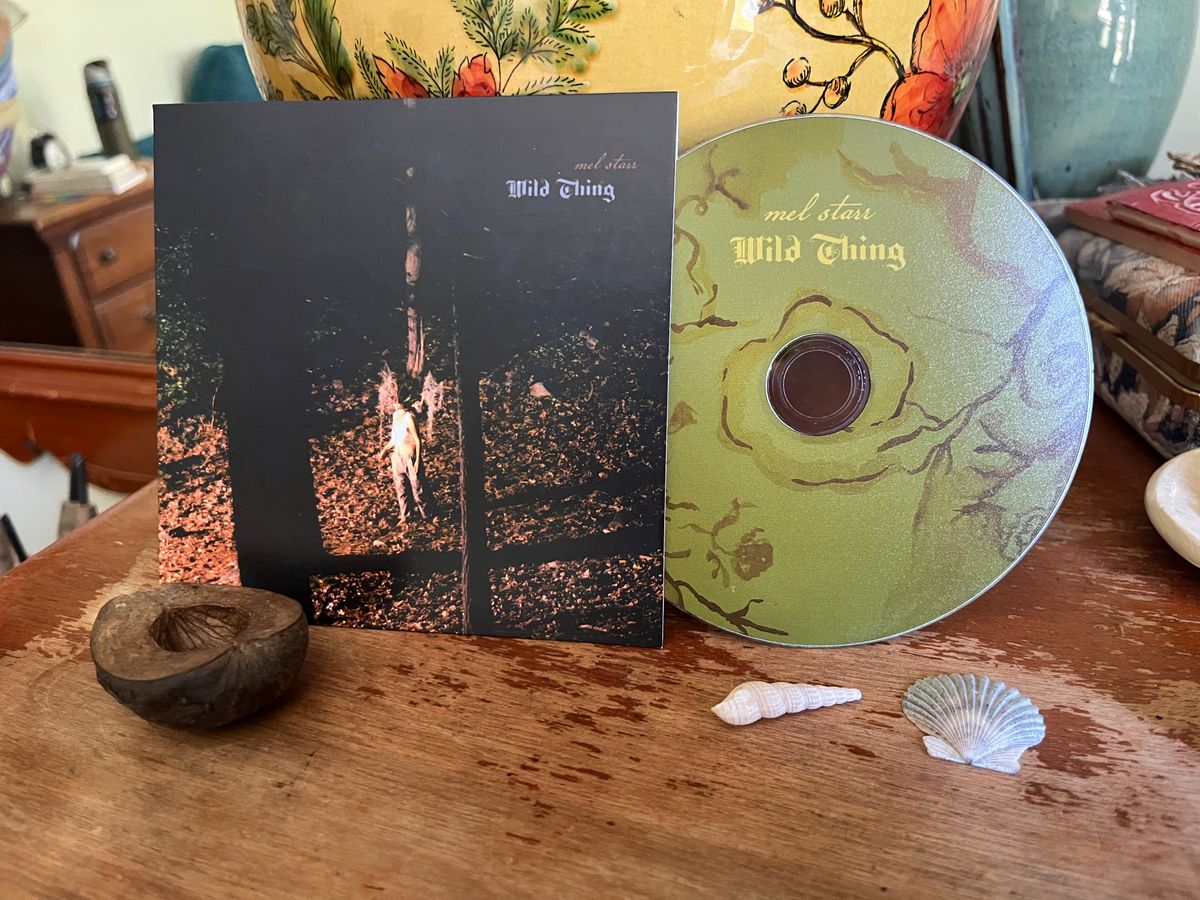 Wild Thing - CD