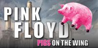 Run Like Hell Pink Floyd Tribute Australia: Pigs on the Wing