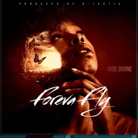 PMG by Bide Divine