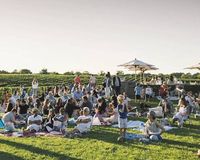 Sunset Music at Wolffer Wine Stand