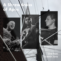 Live at Jammin Java by A Shrewdness of Apes