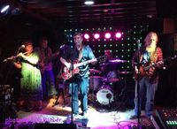 The Bear Bones Project