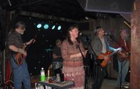 The Bear Bones Project