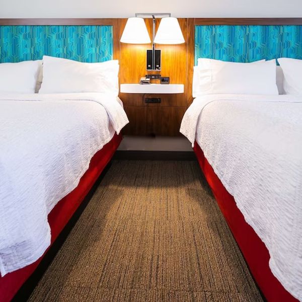 Hotel Rooms for Gypsy Fuzz & Friends