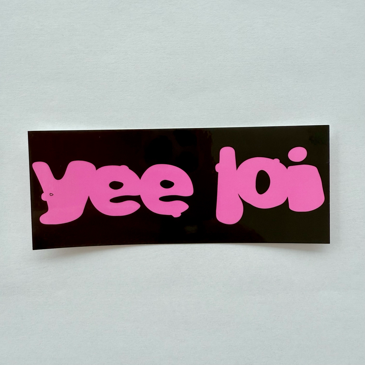 2025 Pink Logo Sticker