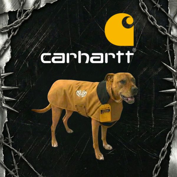 Carhartt Dog Coat 