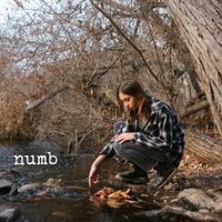 Numb by Maya Wells