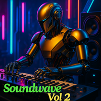 Soundwave Vol 2 by Soundwave