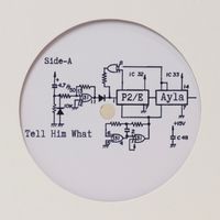 Tell Him What / 4-Stage Reuben by P2/Electric, A.Murray, R.Yoell