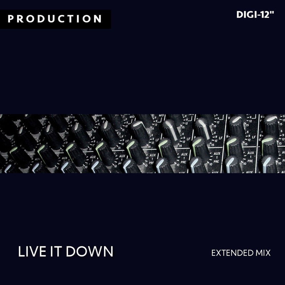 Live It Down [digi-12 inch single] cover