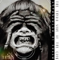 The Third Side Of The Coin - Animus by Moons In Retrograde