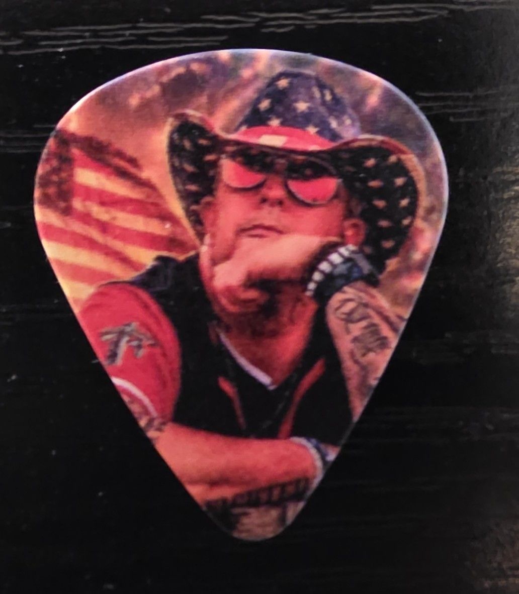 Busted Dreams Guitar Pick