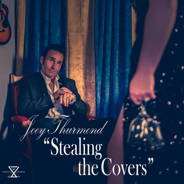 Stealing the Covers - CD