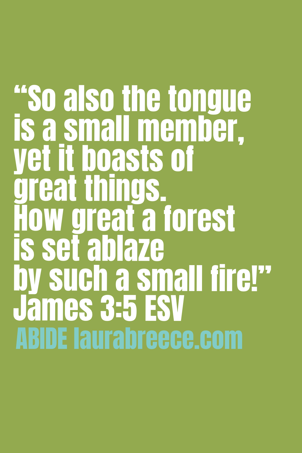 “So also the tongue is a small member, yet it boasts of great things. How great a forest is set ablaze by such a small fire!” ‭‭James‬ ‭3‬:‭5‬ ‭ESV‬‬