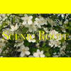 "Scenic Route" zine