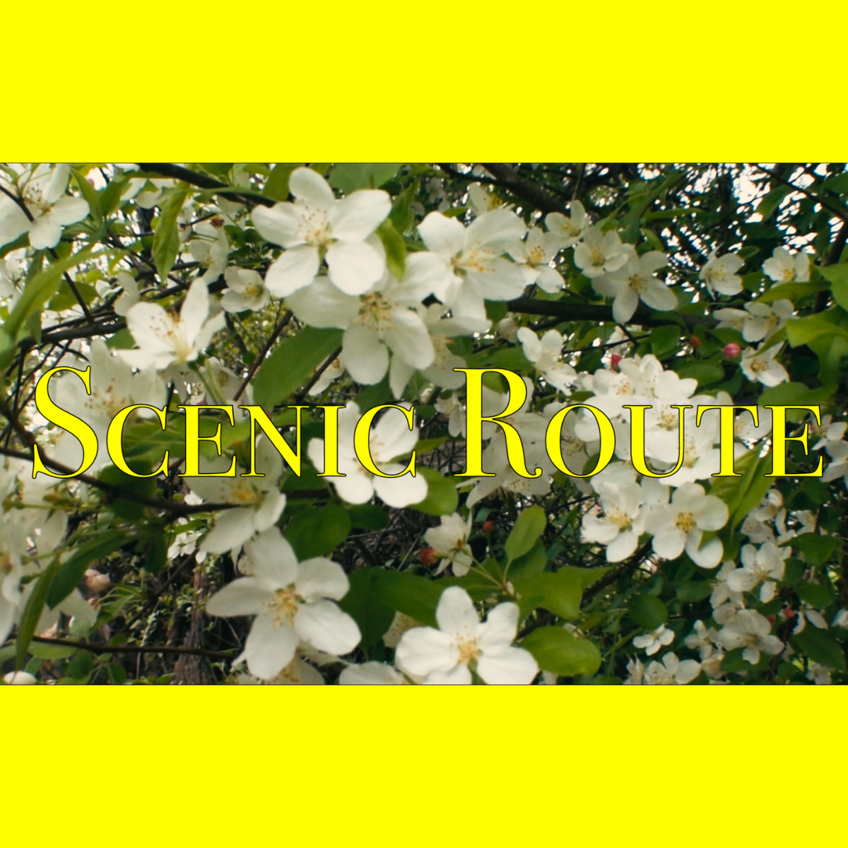 "Scenic Route" zine
