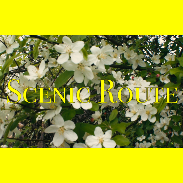 "Scenic Route" zine
