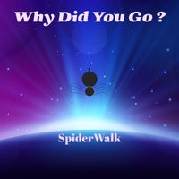 Why Did You Go? by SpiderWalkMusic