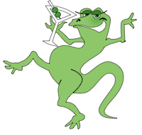 Leap N Lizard